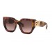 Roberto Cavalli SRC089-01GQ