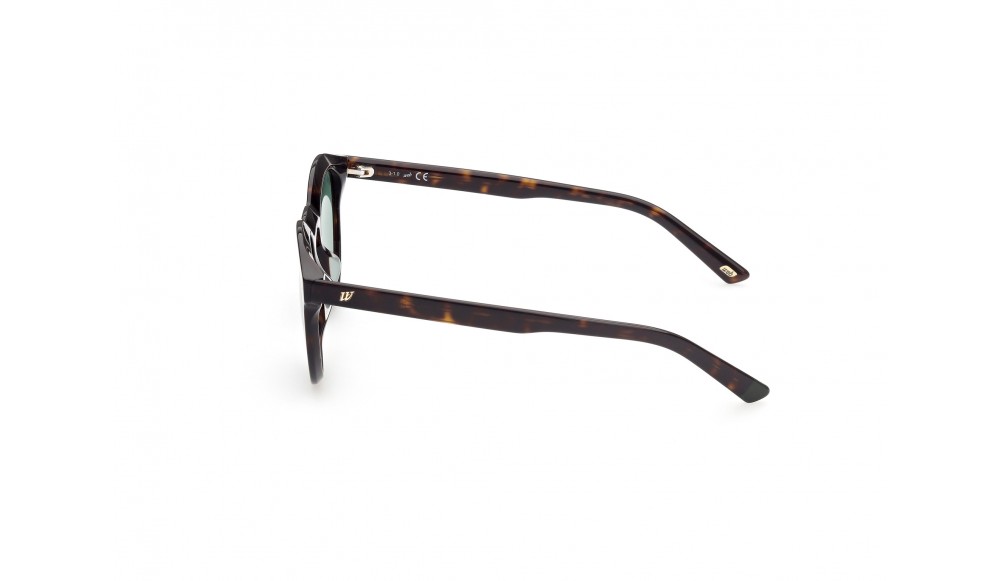 Sunglasses Web WE0307-52P