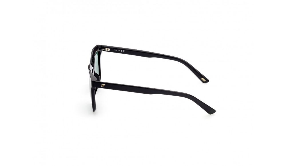 Sunglasses Web WE0309-01P