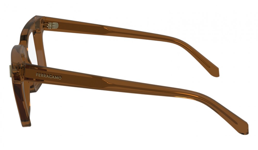  Ferragamo SF2993-232