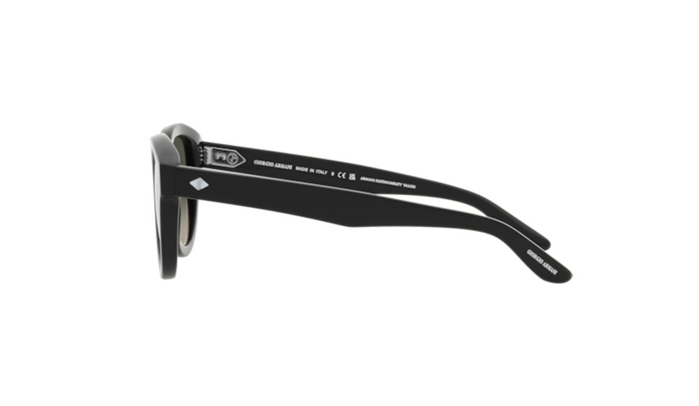 Sunglasses Giorgio Armani AR8181-587571