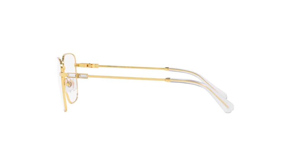  Swarovski SK1003-4004-53