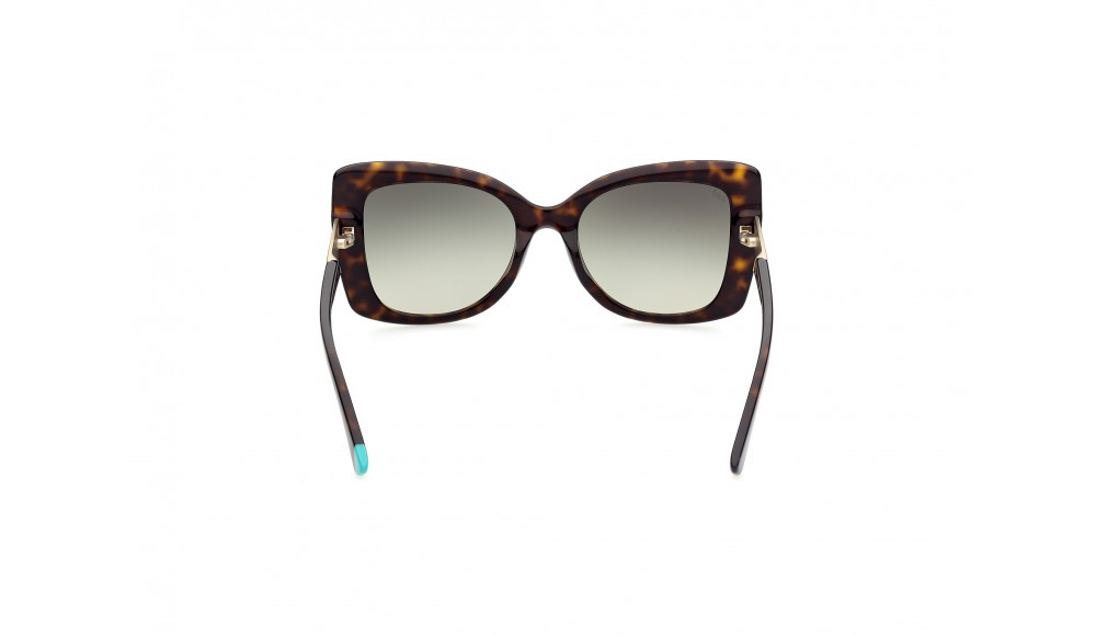 Sunglasses Web WE0317-52P