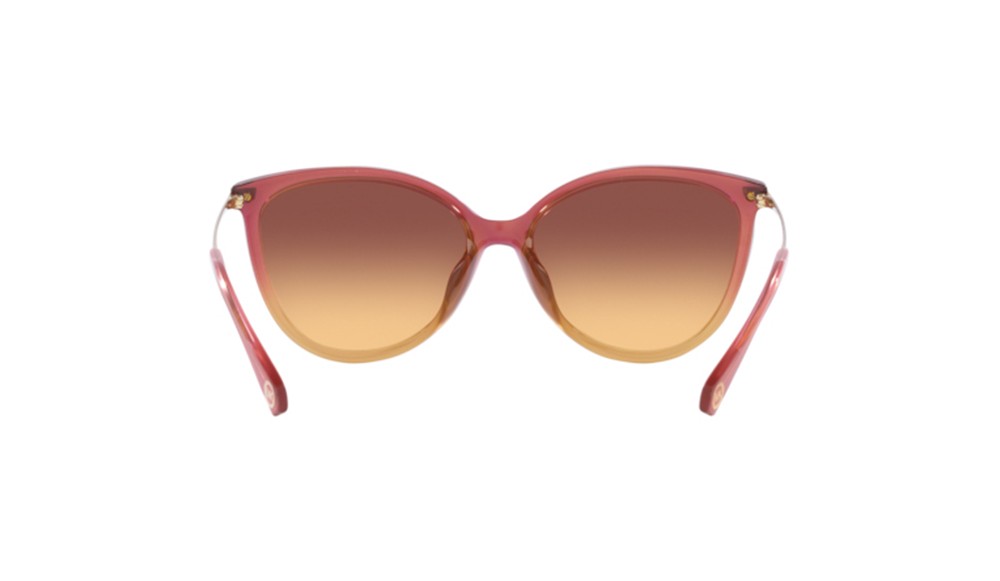 Sunglasses Michael Kors Dupont MK2184U-325678