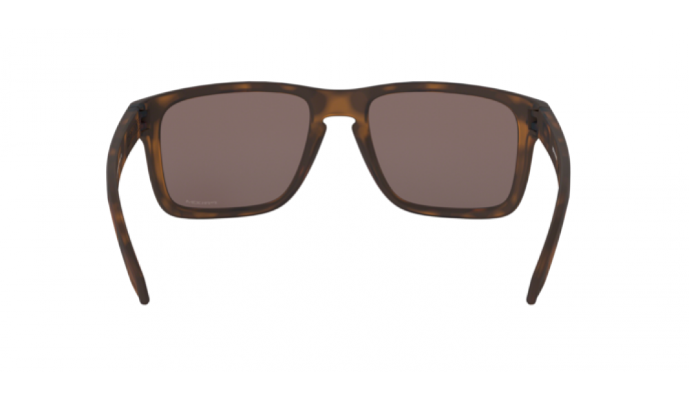  Oakley Holbrook XL OO9417-02