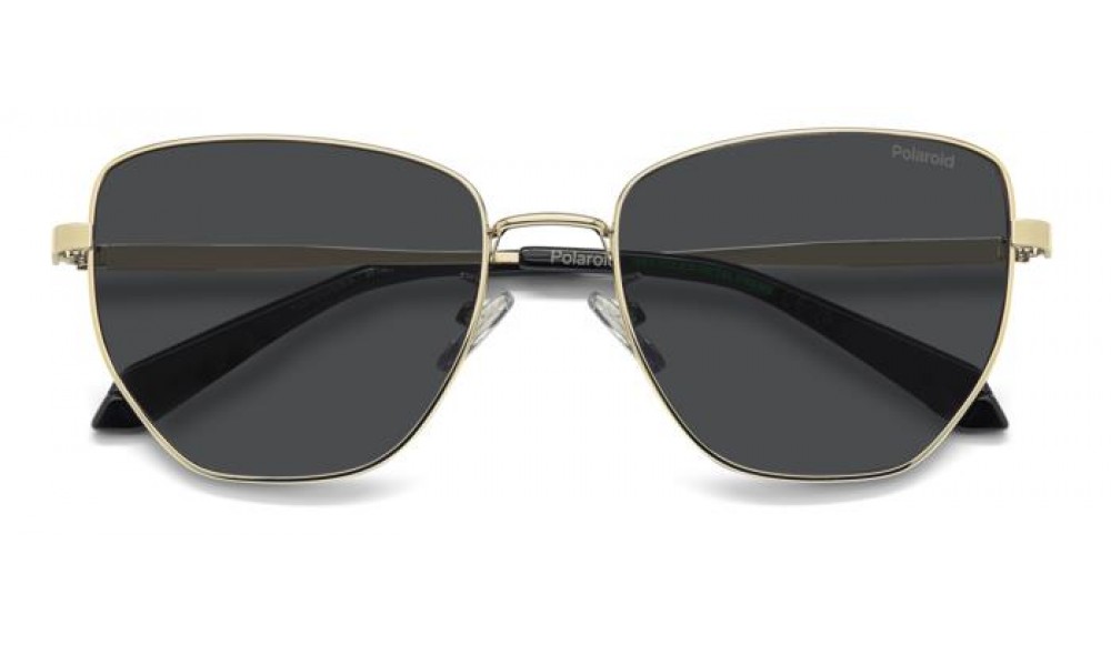 Sunglasses Polaroid PLD 4204/G/S/X-2F7 (M9)