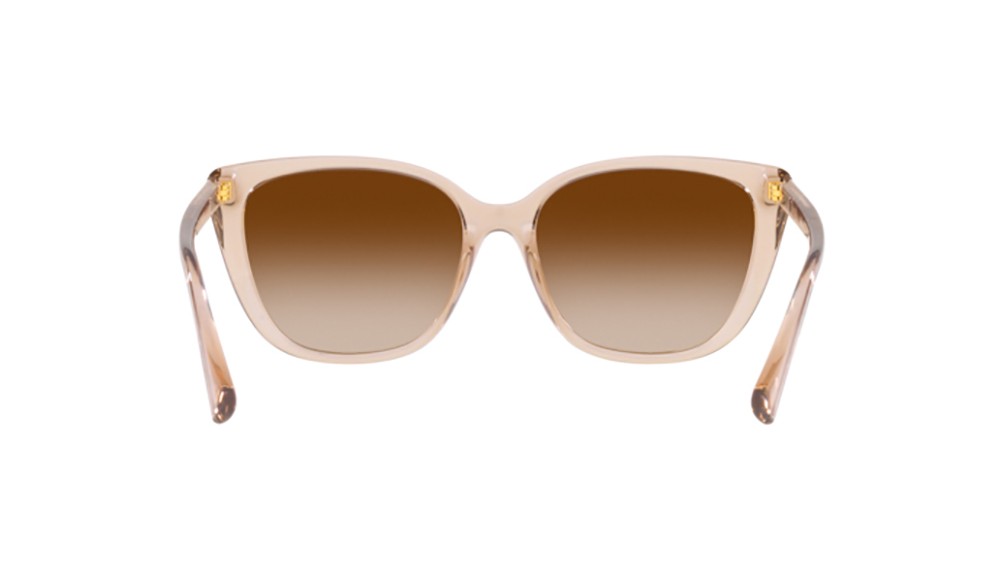 Sunglasses Ralph Lauren RA5274-580213