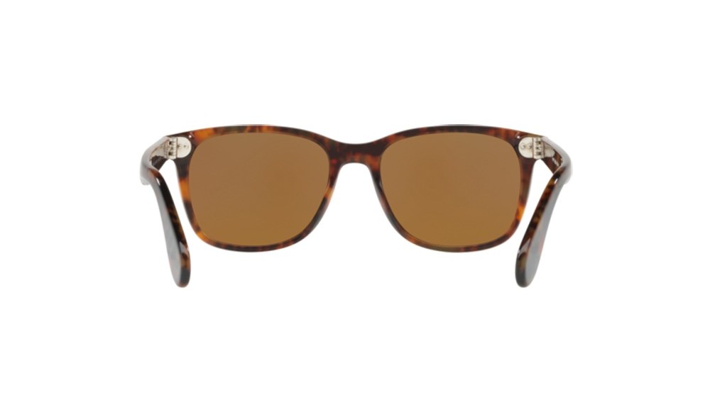 Sunglasses Ralph Lauren RL8162P-501753