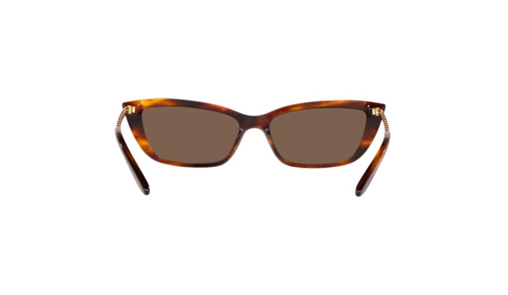 Sunglasses Ralph Lauren RL8173-500773