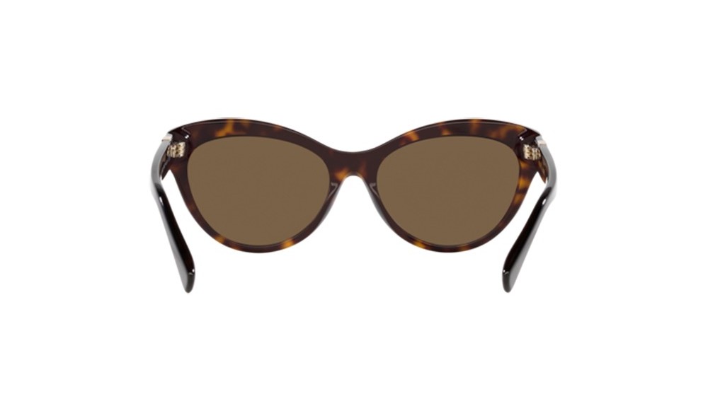 Sunglasses Ralph Lauren RL8213-500373