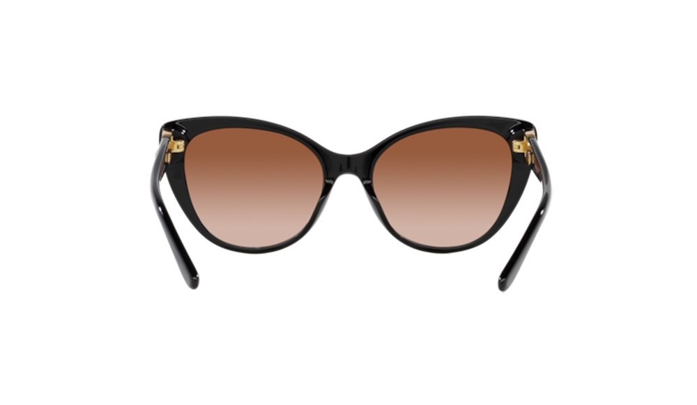 Sunglasses Ralph Lauren RL8215BU-500113