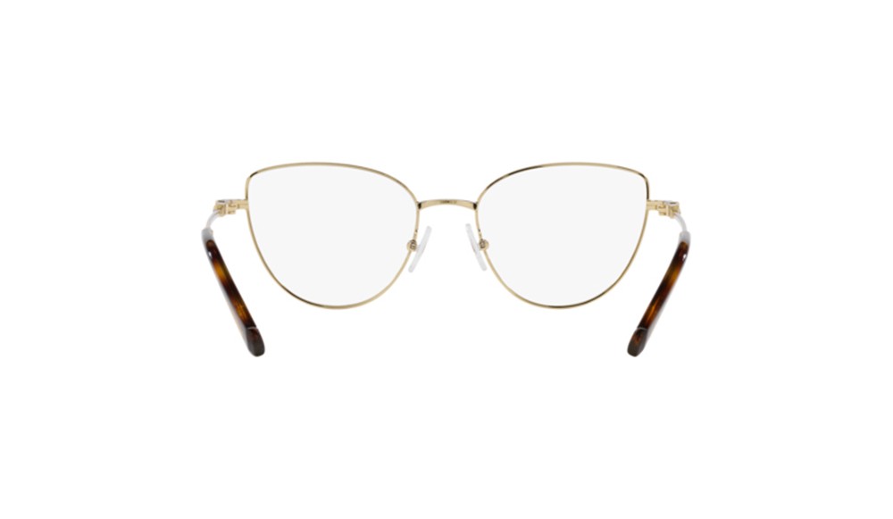  Swarovski SK1007-4013-55