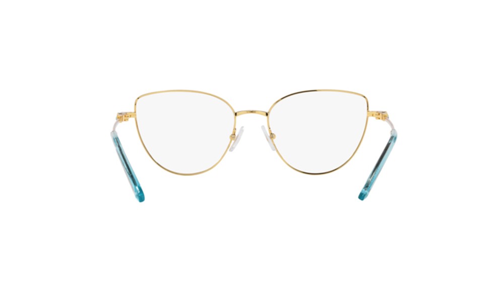  Swarovski SK1007-4021-55