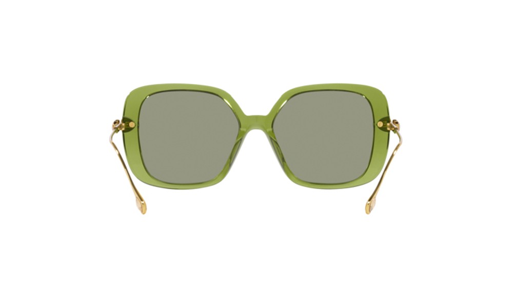 Sunglasses Swarovski SK6011-3002/2