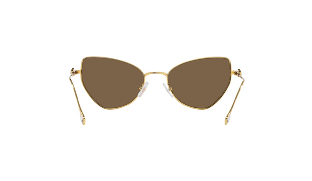 Sunglasses Swarovski SK7011-400473