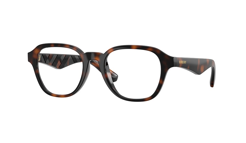  Burberry BE2444U-3002-49