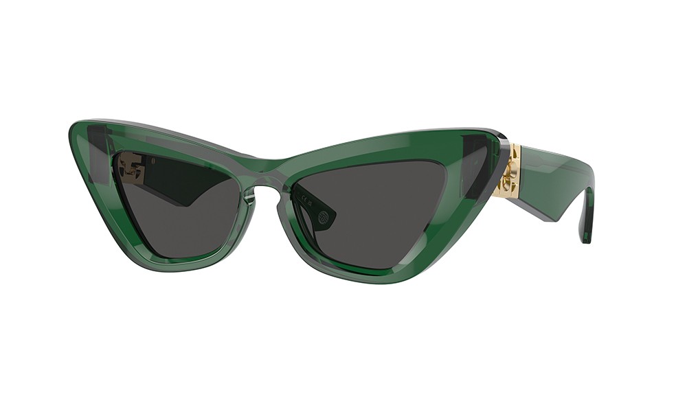 Sunglasses Burberry BE4421U-410487