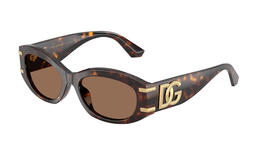 Sunglasses Dolce&Gabbana DG4502-502/73