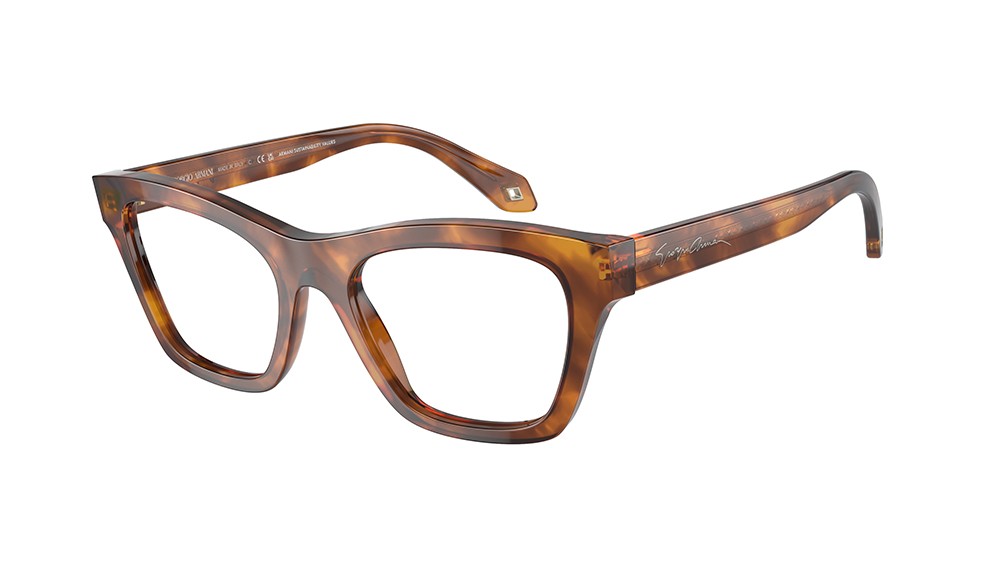  Giorgio Armani AR7240-5988-49