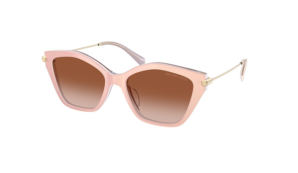 Sunglasses Michael Kors CATSKILLS MK2246U-401513