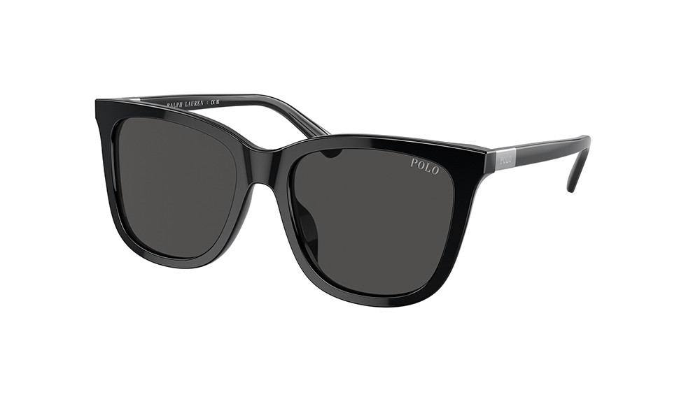 Sunglasses Polo PH4201U-500187