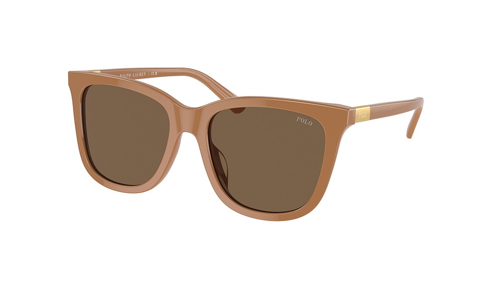 Sunglasses Polo PH4201U-619673