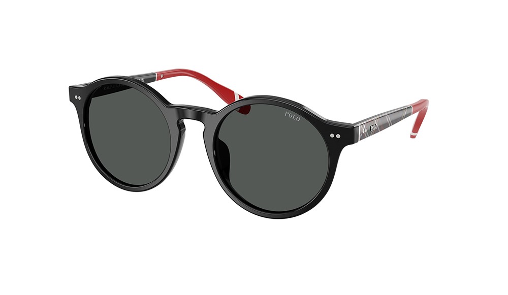 Sunglasses Polo PH4204U-562687