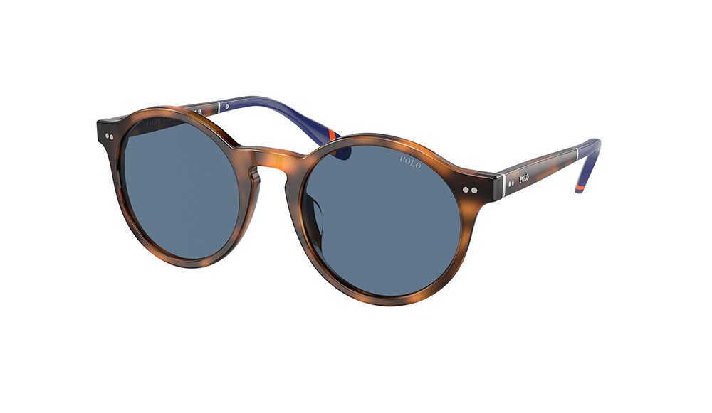 Sunglasses Polo PH4204U-608980-53