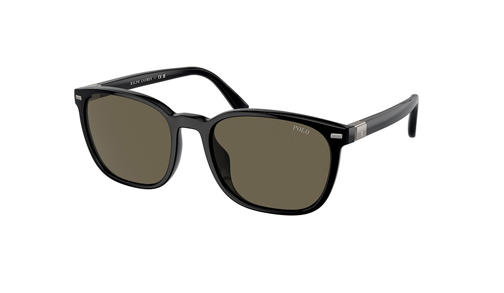Sunglasses Polo PH4208U-5001/3