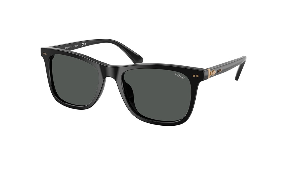 Sunglasses Polo PH4220U-500187