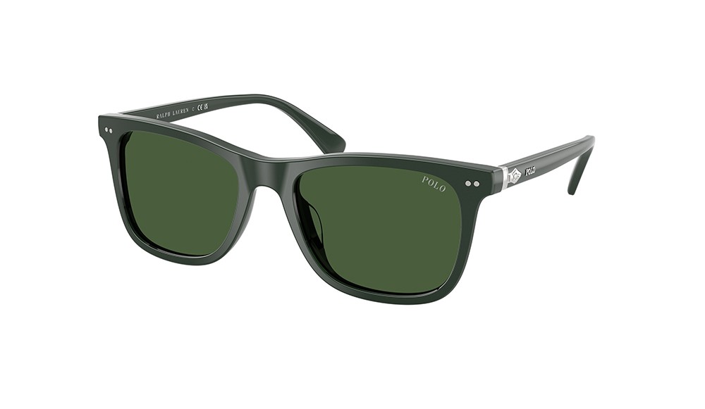 Sunglasses Polo PH4220U-614071