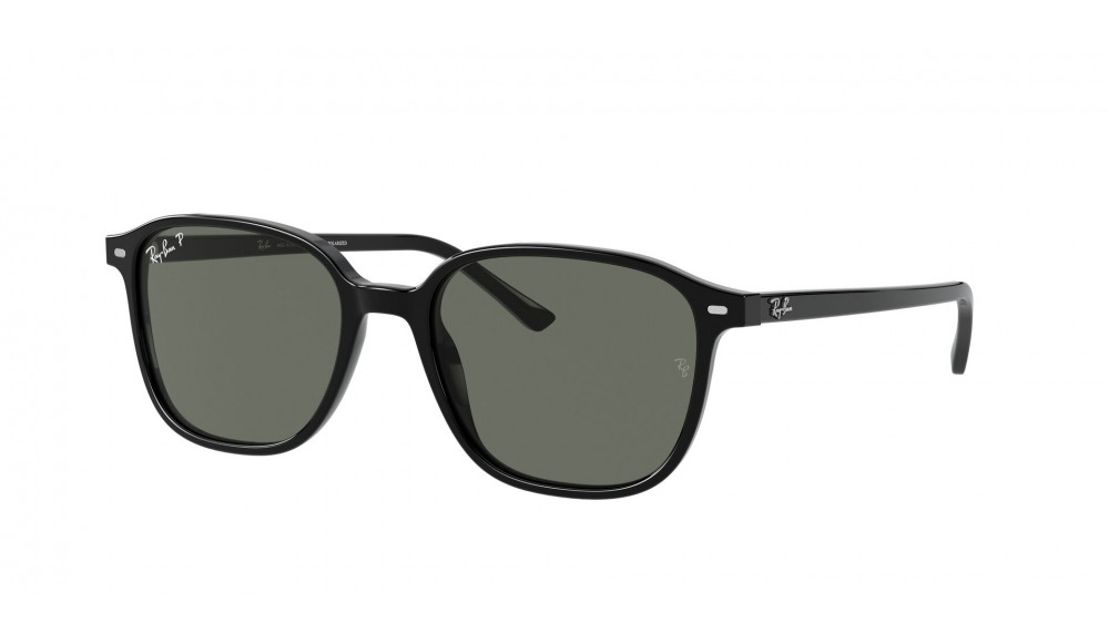  Ray-Ban ® Leonard RB2193-901/58-53