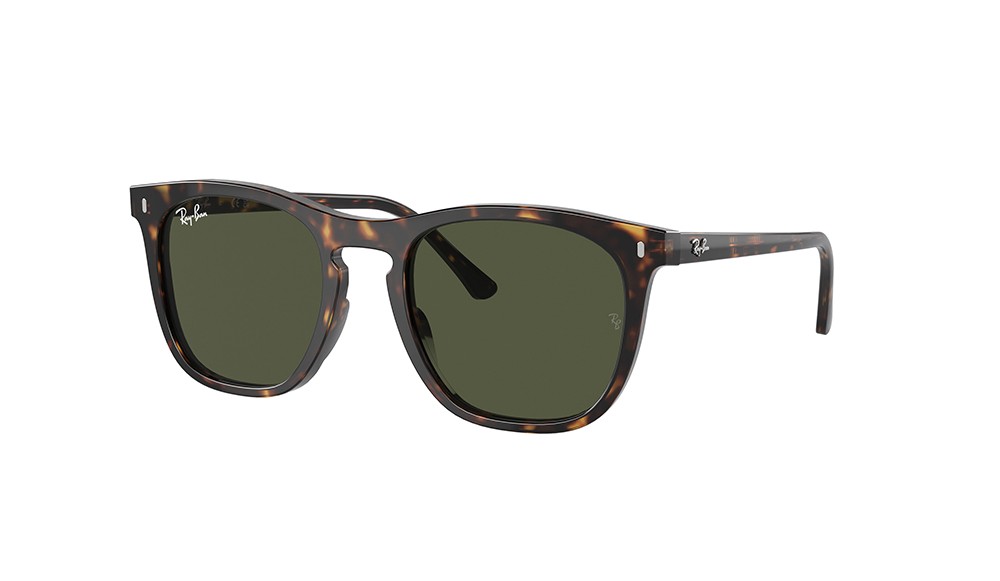  Ray-Ban ® RB2210-902/31
