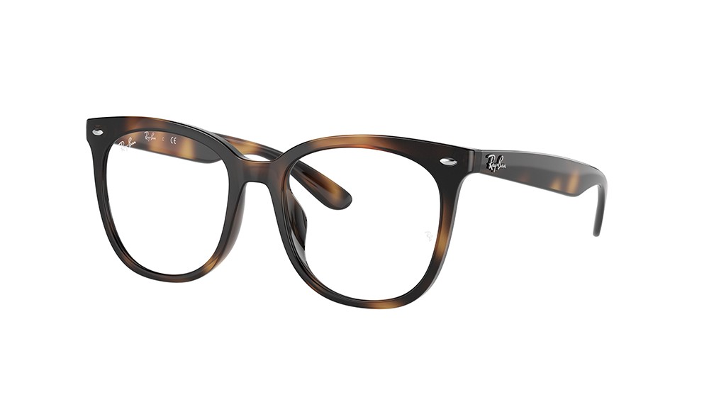  Ray-Ban ® RX4379VD-2012