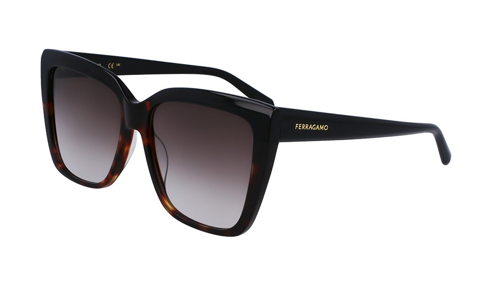 Sunglasses Salvatore Ferragamo SF1102S-006