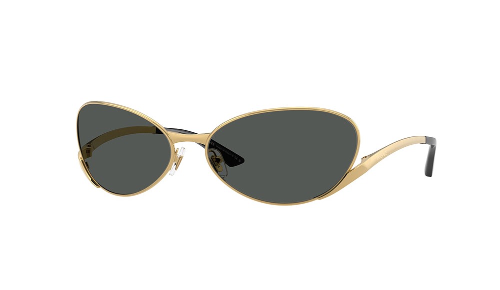 Sunglasses Versace VE2285-100287