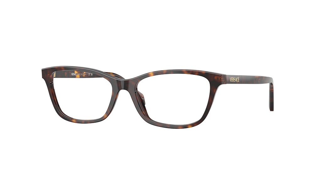  Versace VE3375-108-52