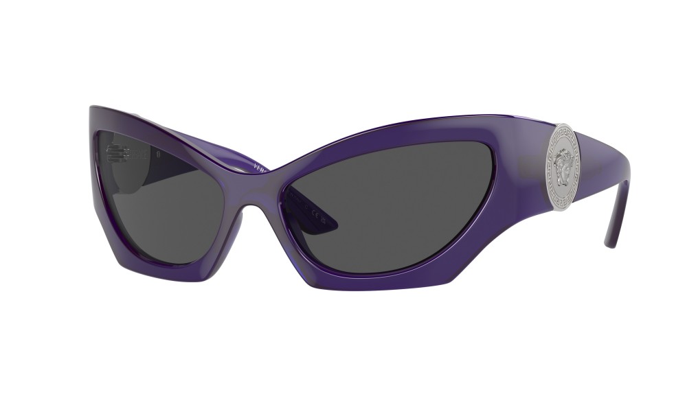 Sunglasses Versace VE4450-541987