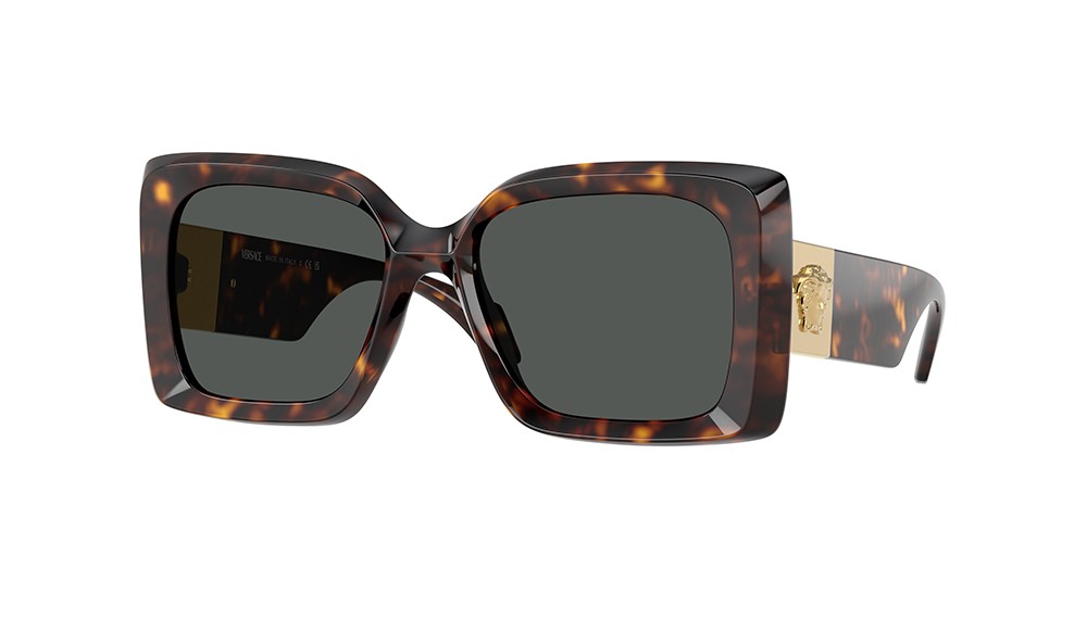 Sunglasses Versace VE4467U-108/87