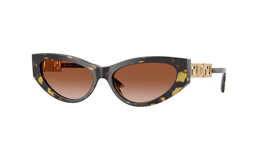 Sunglasses Versace VE4470B-547013