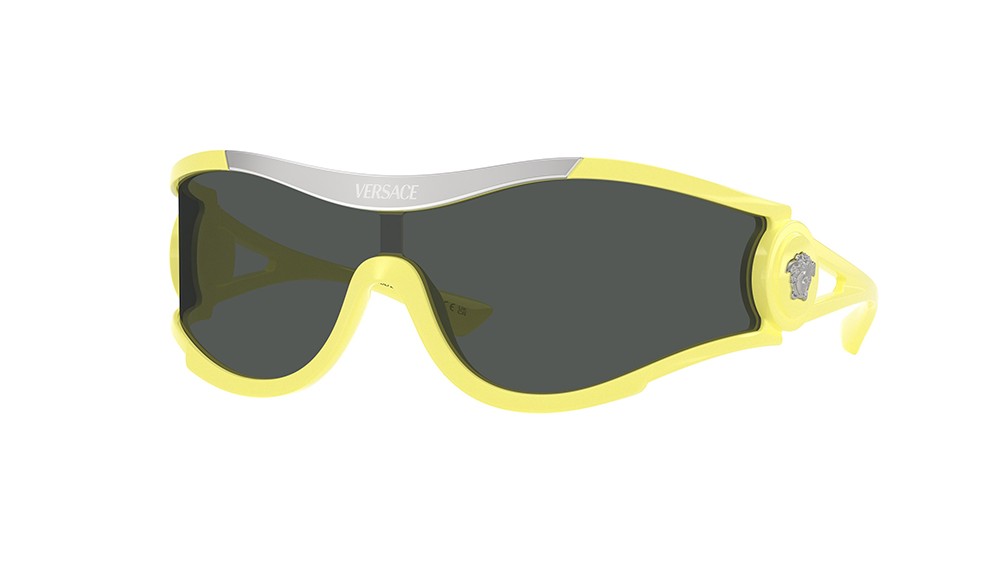 Sunglasses Versace VE4475-548687