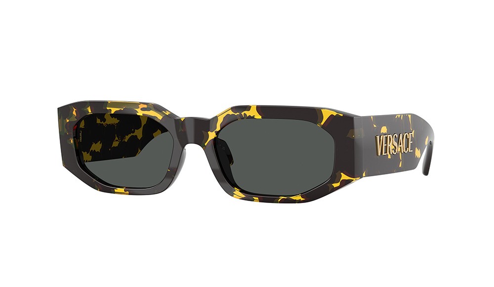 Sunglasses Versace VE4489U-552887