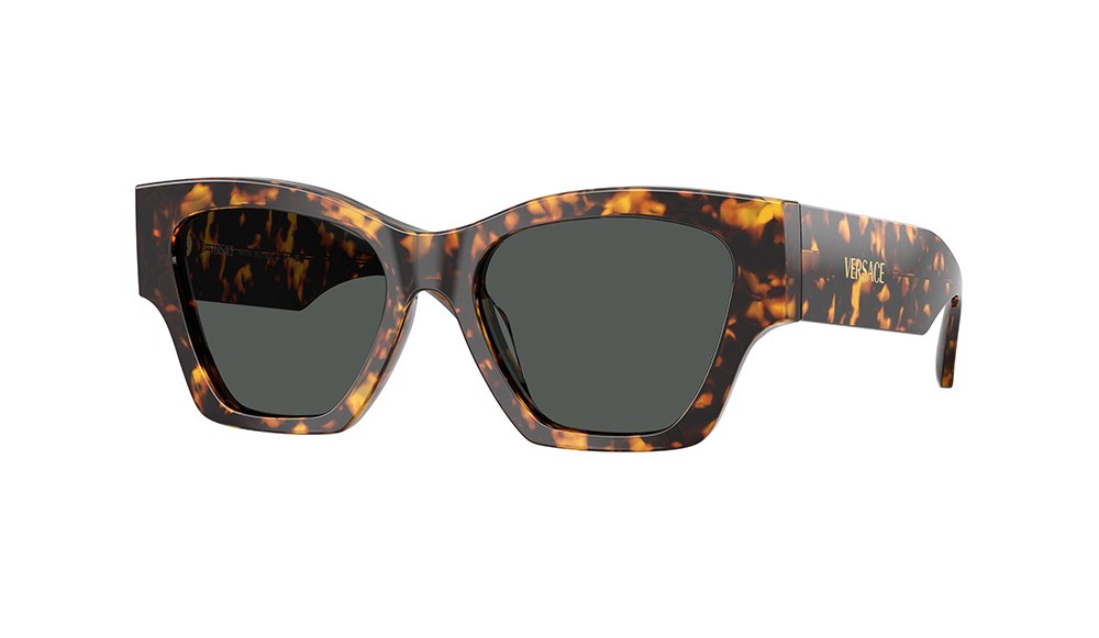 Sunglasses Versace VE4492U-551487