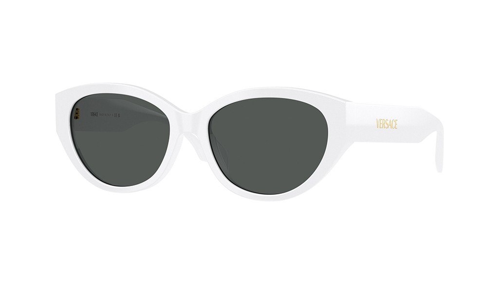 Sunglasses Versace VE4495D-314/87