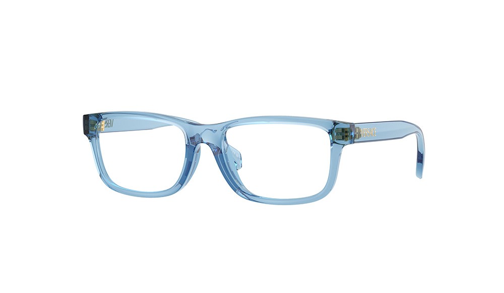  Versace VK3013U-5535-49