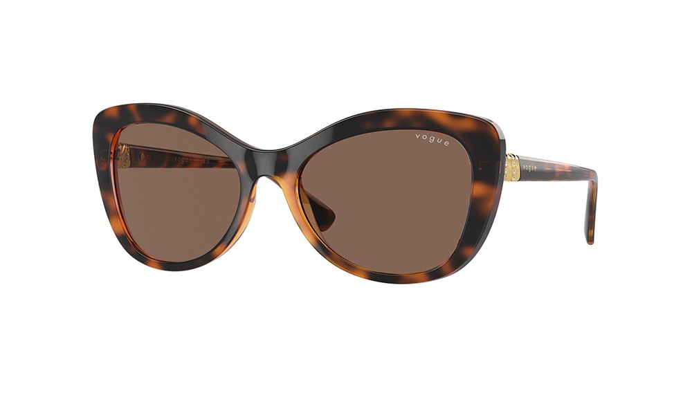 Sunglasses Vogue VO5515SB-W65673