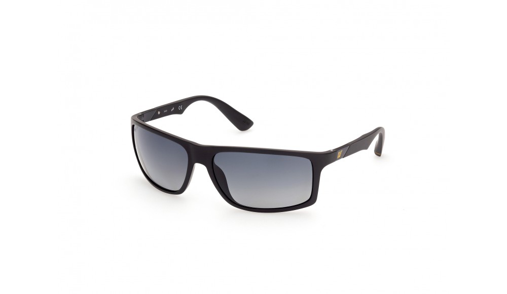 Sunglasses Web WE0293-02D