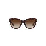 Sunglasses Ralph Lauren RA5301U-500313