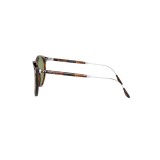 Sunglasses Ralph Lauren RL8181P-52494E