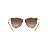 Sunglasses Ralph Lauren RA5245-500313